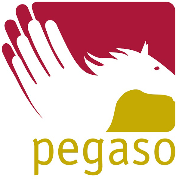 PEGASO